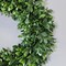 18" English Boxwood Wreath Classic Greenery Door & Wall Décor